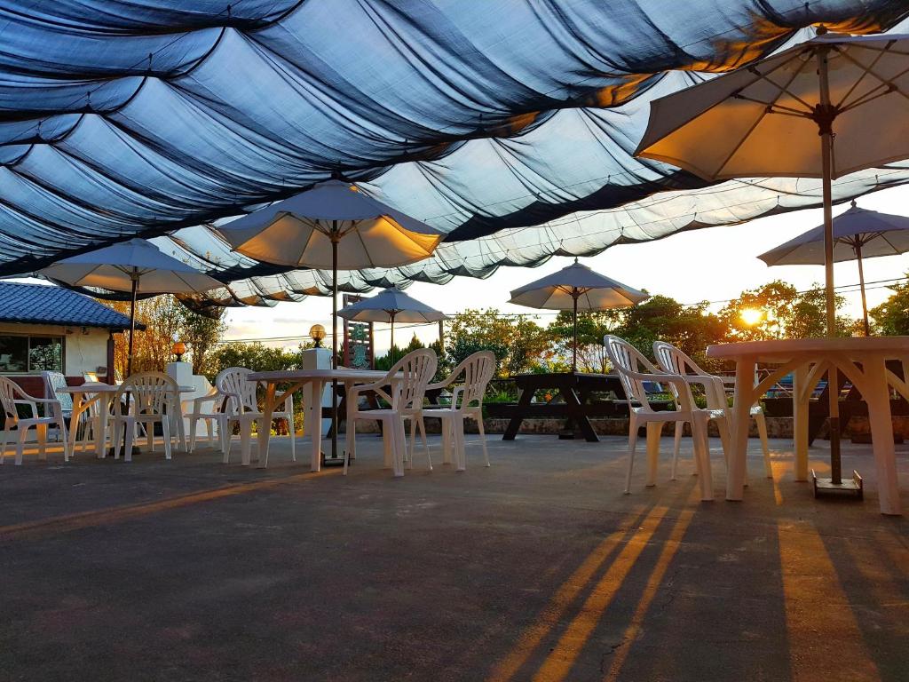 露予莊園民宿 茶莊評價、特色體驗、房價資訊、訂房連結 – 溫馨茶莊與赤科山美景 - 照片 1