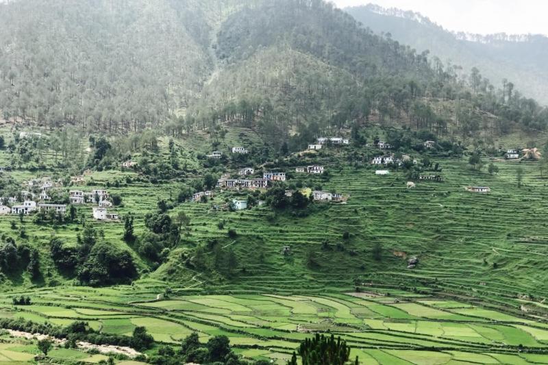 a large green field with houses on a mountain at Mountain resort view in Kausani