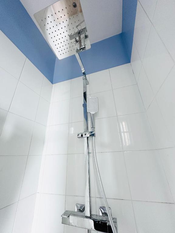 a shower in a bathroom with a blue ceiling at Cosy appartement avec vue Tour Eiffel in Paris
