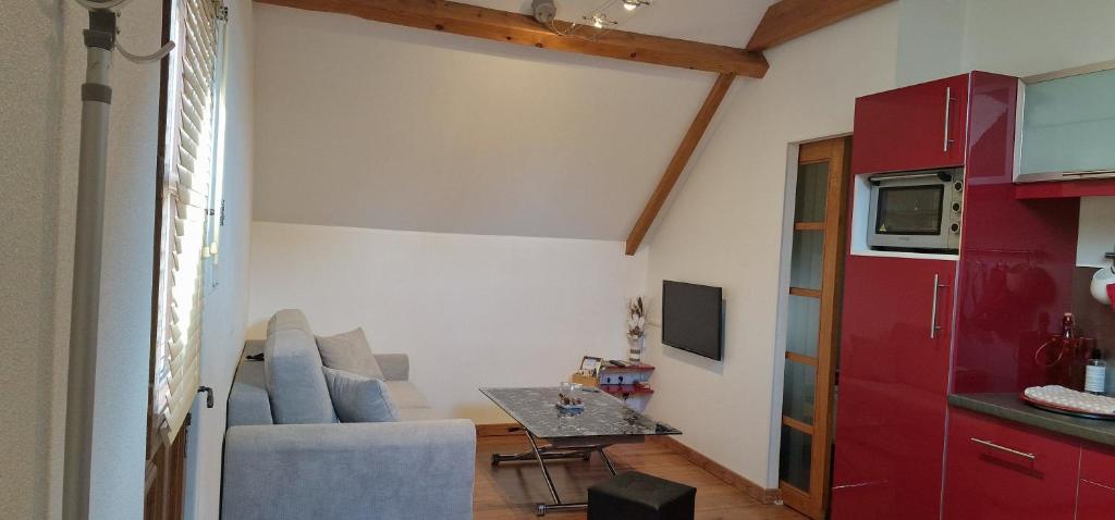 a living room with a couch and a table at Appartement T2 Le bief des jardins in Bracieux