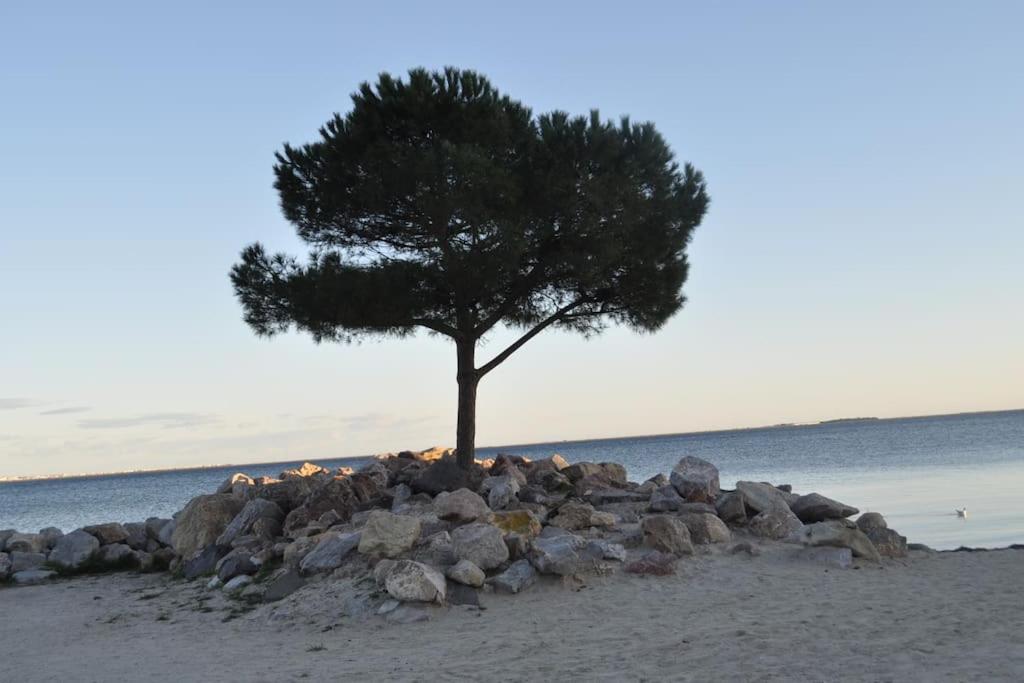 Photo de la galerie de l'établissement Location vacance studio avec terrasse, à Mèze