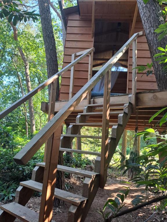 un escalier menant à une cabane dans les arbres dans l'établissement Boomhut, à Rijsbergen
