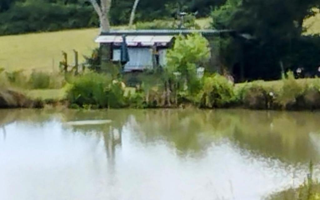 Hadlow DownにあるPeaceful ensuite lakeside cabin 'Tench'の湖畔に腰掛けた家