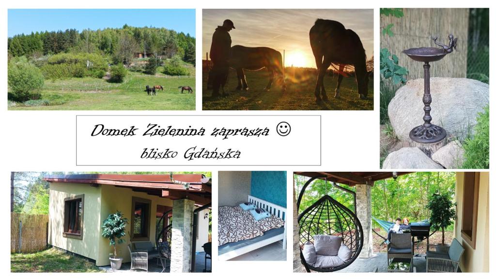 a collage of photos with a horse and a house at Domek Zielenina in Mierzeszyn