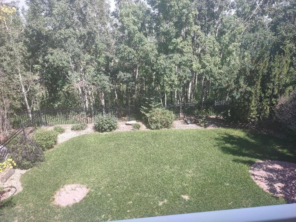 an aerial view of a yard with green grass and trees at Spacious One Bedroom Walkout Basement Suite in Calgary