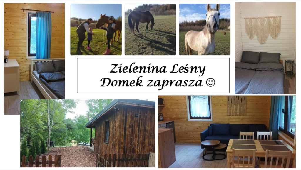 a collage of pictures of a house with a horse at Zielenina Leśny Domek in Mierzeszyn