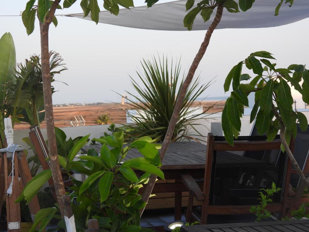 a table and chairs on a patio with plants at ABA DALÍ in Conil de la Frontera