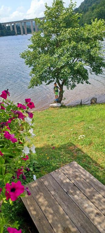 a tree and flowers next to a body of water at Aurora on the lake in Fužine
