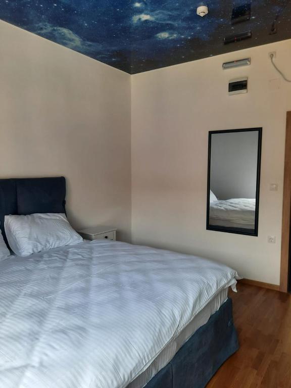 Postel nebo postele na pokoji v ubytování Fruškogorski biser