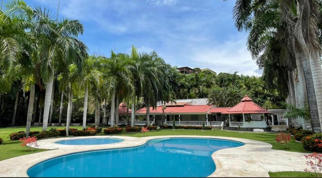 un complejo con piscina y palmeras en Finca San José los Naranjos, en Santa Marta