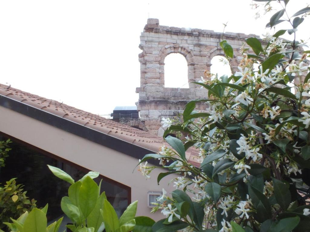 un edificio con una ventana y un árbol con flores blancas en La Terrazza sull'Arena, en Verona