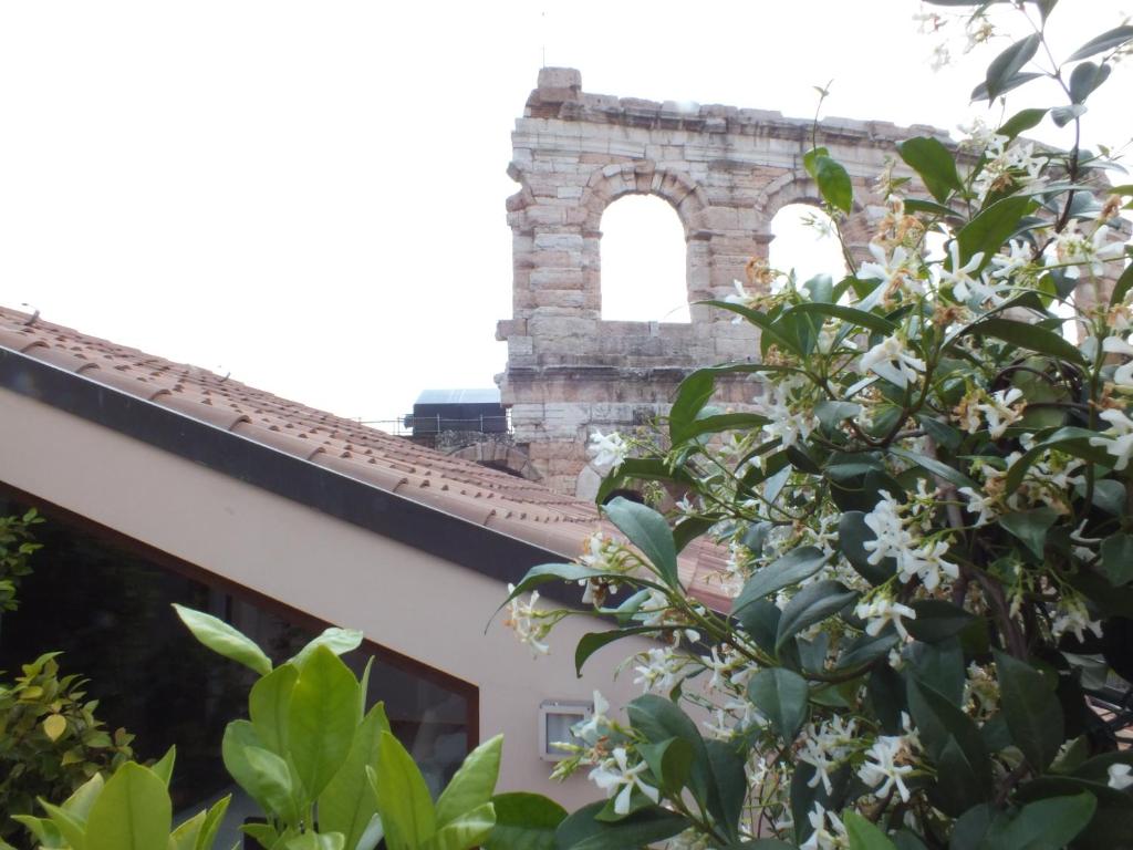a building with a window and a tree with white flowers at La Terrazza sull'Arena in Verona