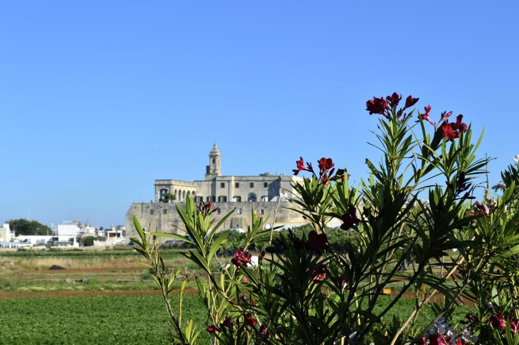 a building in the background with flowers in the foreground at Hotel San Giovanni in Polignano a Mare