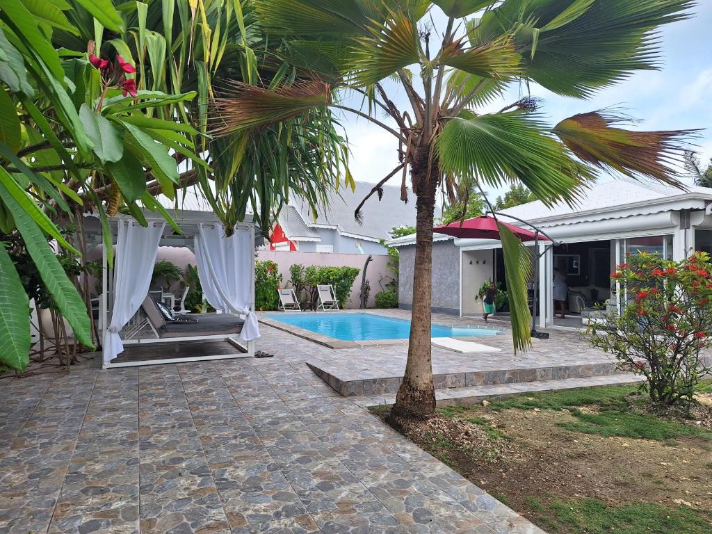 a backyard with a pool and a palm tree at Villa Almeida à 500m de la plage in Courcelles Sucrerie