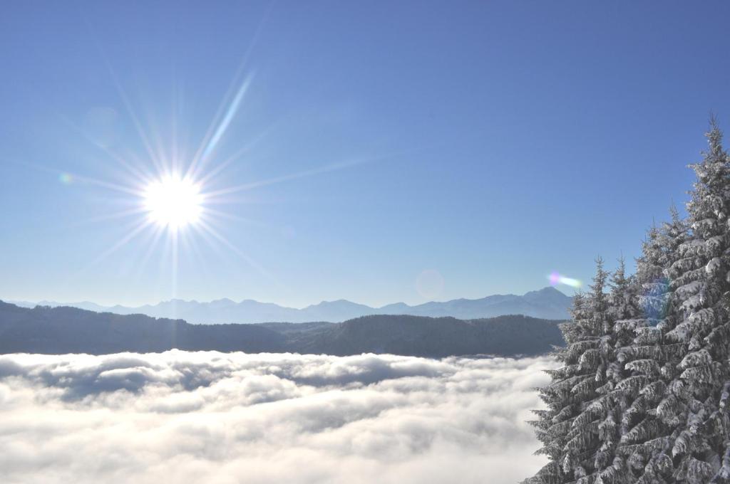 Mathiasl Panorama Ferienwohnungen - 19
