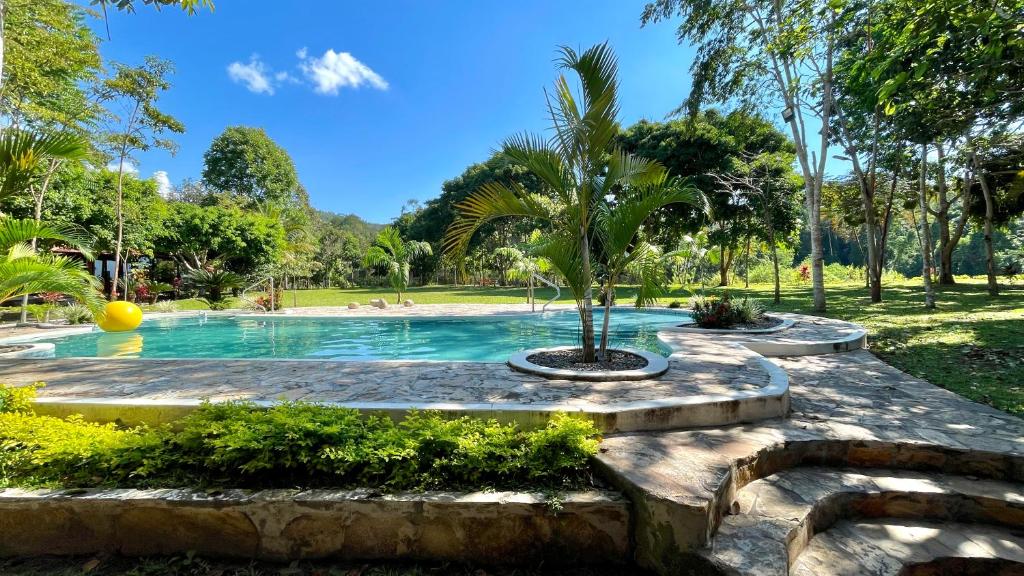 een zwembad met een palmboom in een park bij Villa Sebastiana Bungalows in Tarapoto
