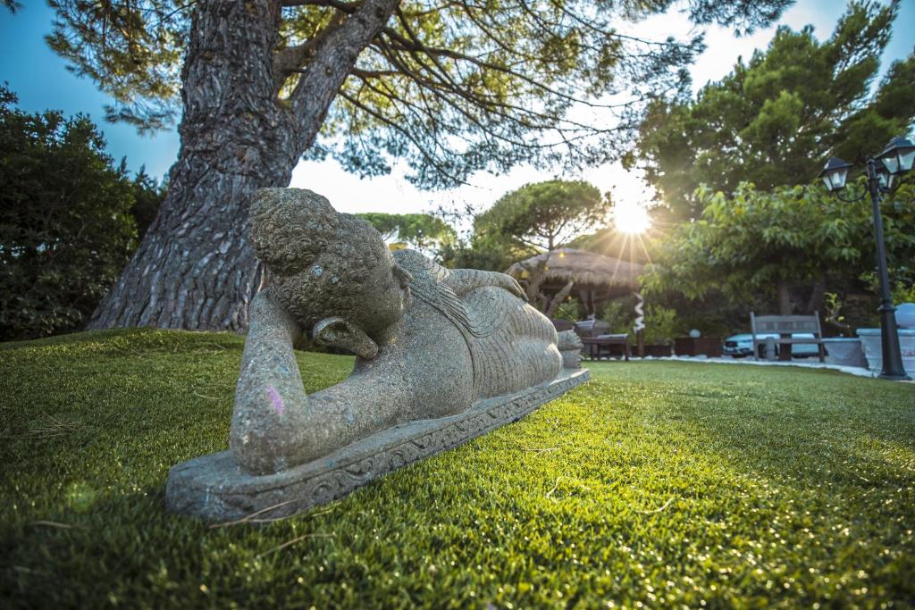 En tr&auml;dg&aring;rd utanf&ouml;r Villa with Spa, Pool and view of St Tropezs gulf