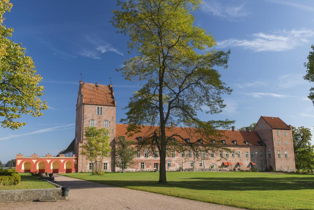 un grand château avec un arbre en face dans l'établissement Bäckaskog Slott, à Fjälkinge