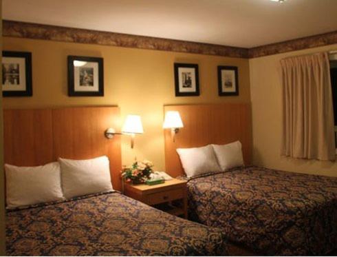 Stardust Motel - Standard Room With Two Double Beds