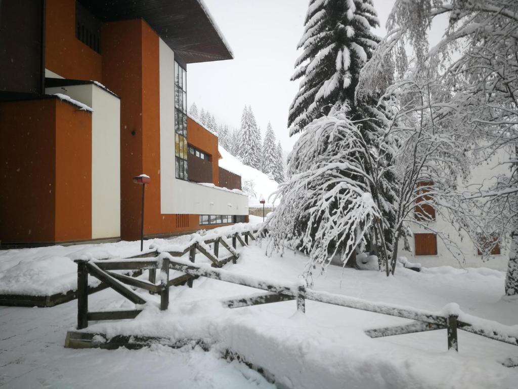 einen schneebedeckten Hof mit Bäumen und einem Gebäude in der Unterkunft Antermoia Suite - servizio navetta, sala giochi e bici incluse in Mazzin