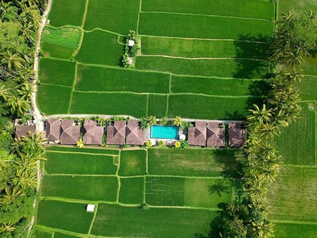 eine Aussicht auf ein Feld mit einem Haus in der Unterkunft Intan Villa & Suite Ubud in Ubud