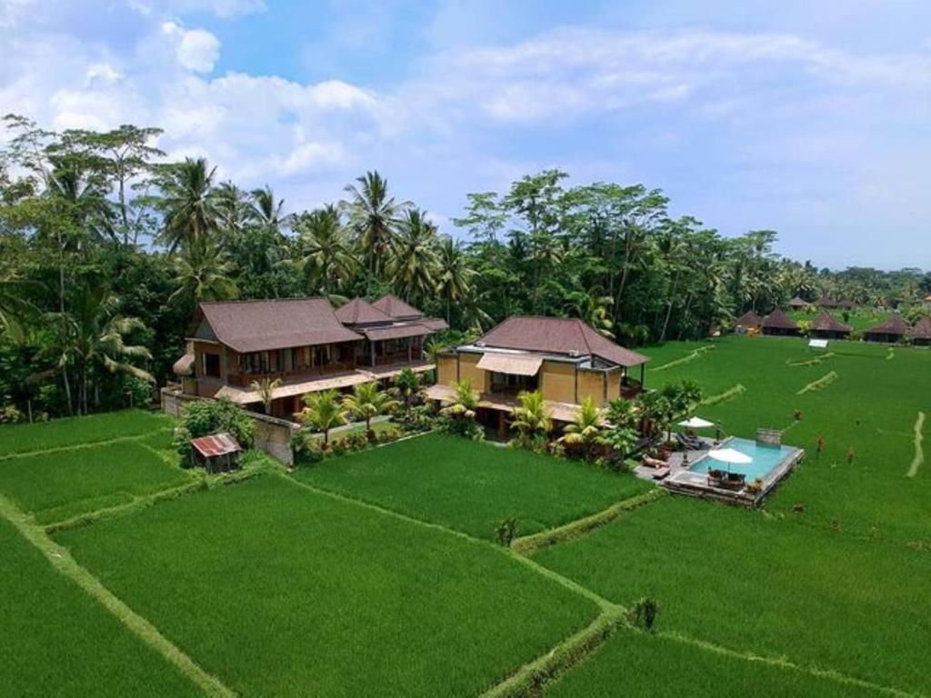 Zahrada ubytování Intan Villa & Suite Ubud