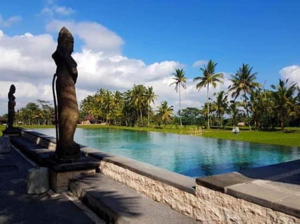 Bazén v ubytování Intan Villa & Suite Ubud nebo v jeho okolí