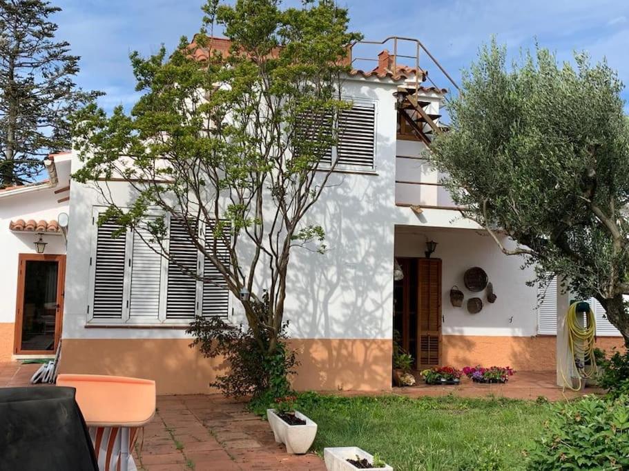 Una casa blanca con un árbol delante. en Casa Cal Duc, la Garriga en La Garriga