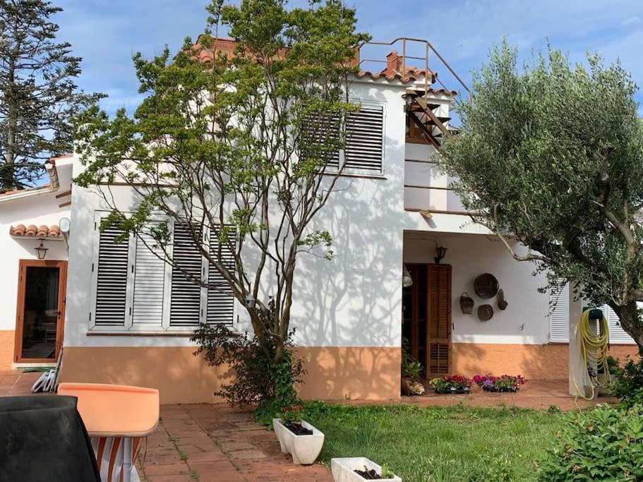 una casa bianca con un albero di fronte di Casa Cal Duc, la Garriga a La Garriga