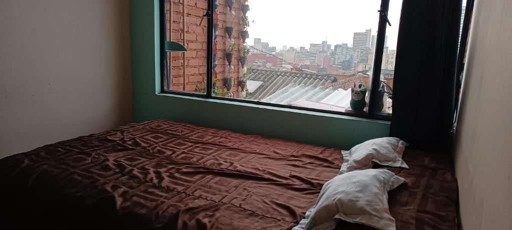 Domácí mazlíčci ubytovaní s hosty v ubytování Casa 2600