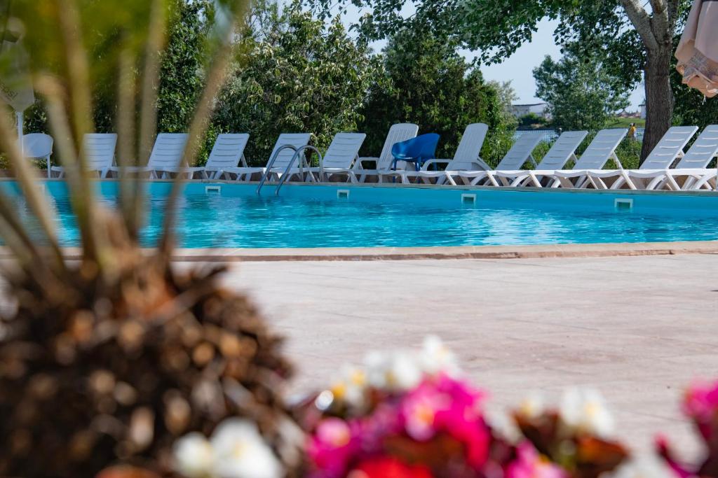 Bazén v ubytování COMPLEX TISMANA 3* ALL INCLUSIVE nebo v jeho okolí