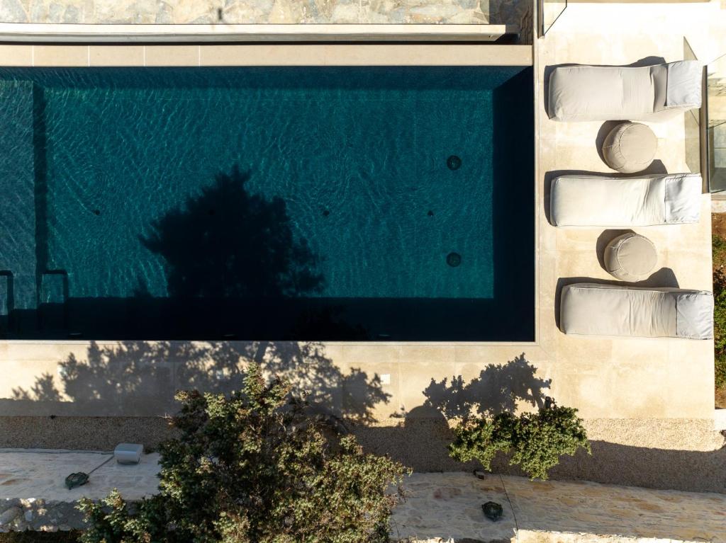 アベラスにあるAmalgam Homes Paros Beachfront Villaの建物内のスイミングプールの上面の景色