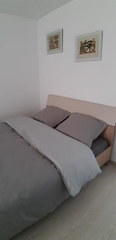1 cama en una habitación blanca con 2 cuadros en la pared en apartament, en Floreşti