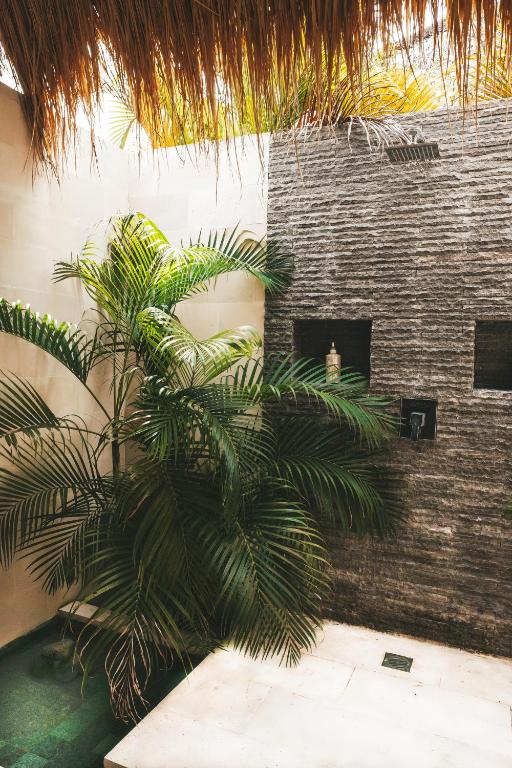 Atoll Haven Villas - 7