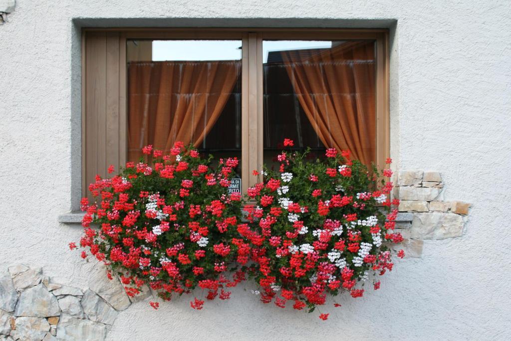 Residence Elga – Photos 1