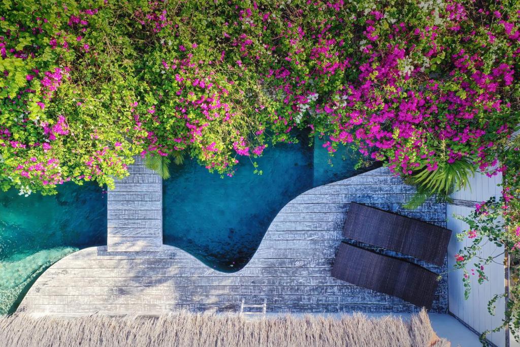 龍目島的住宿－阿托兒哈紋別墅，板凳上方的粉红色花的挡墙