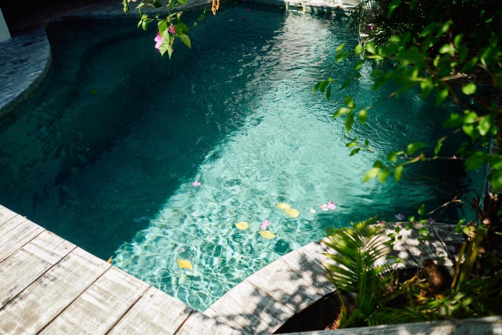 Atoll Haven Villas - 5