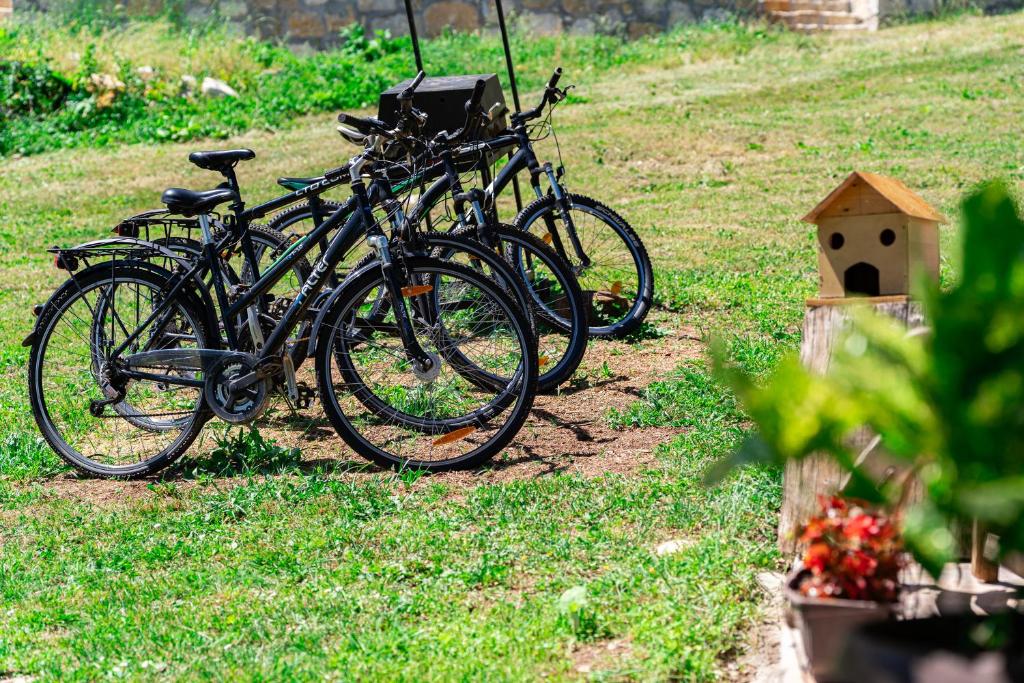 Apartments CENTER OF THE WORLD - 6