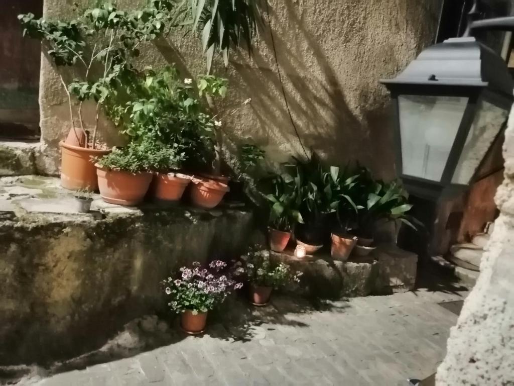 A garden outside Tre metr sopra il cielo '' GiraSoli''