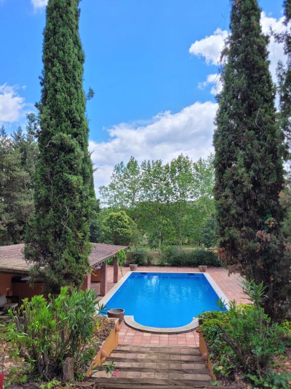 une piscine entourée de deux grands arbres dans l'établissement Casa de campo en el Empordà, à Cruïlles