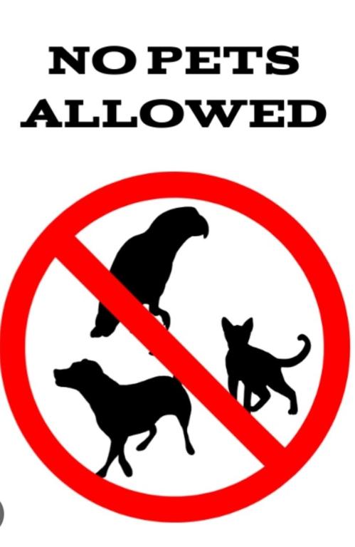 Ethno House Bektesevic - 2