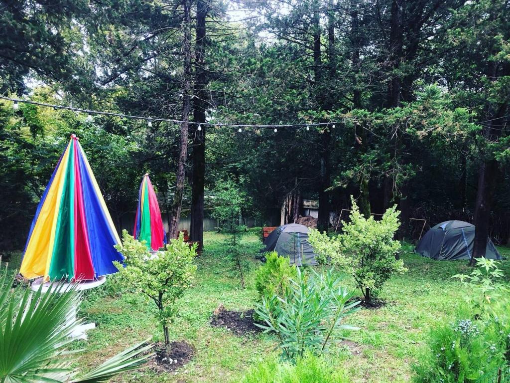 Zahrada ubytování Eco Cottage