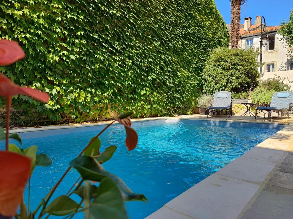 a swimming pool with two chairs next to a hedge at Chambres d'hôtes Relais Mira Peis in Mirepoix