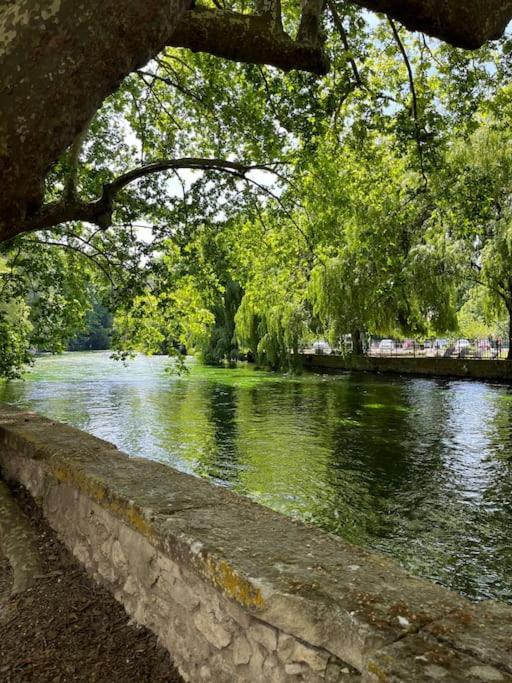 une masse d'eau avec des arbres et une rivière dans l'établissement Appartement fontaine de Vaucluse, à Fontaine-de-Vaucluse