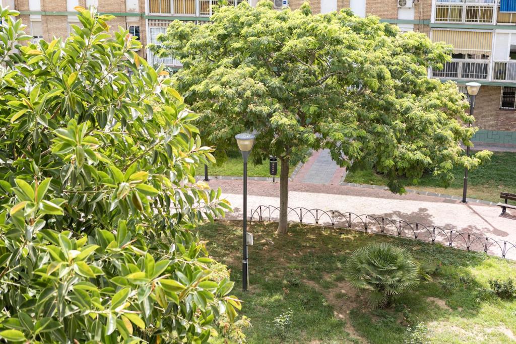 Vonkajšia záhrada v ubytovaní Apartamento Málaga El Faro