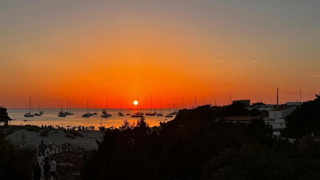 Hotel Cala Saona & Spa, Cala Saona – Precios actualizados 2023