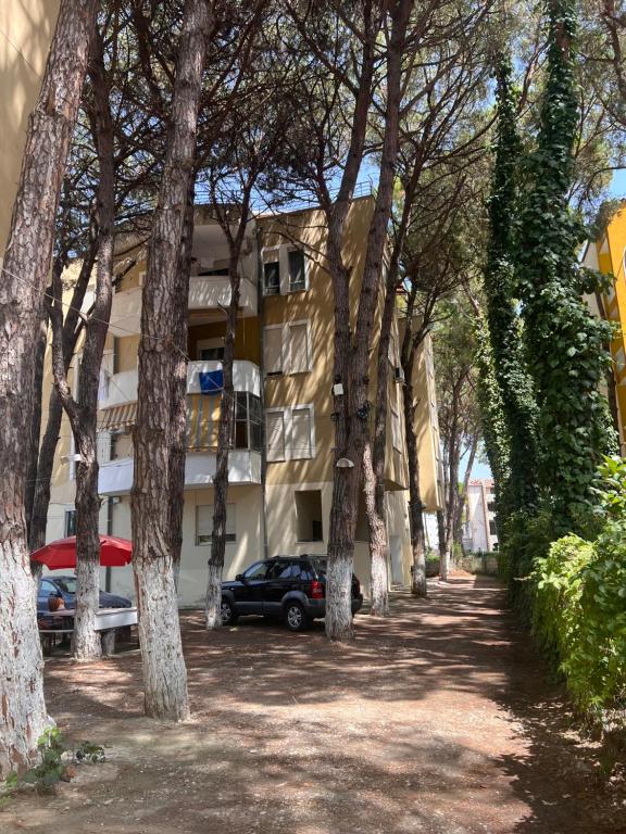 Apartament 15 - Imazhi 5