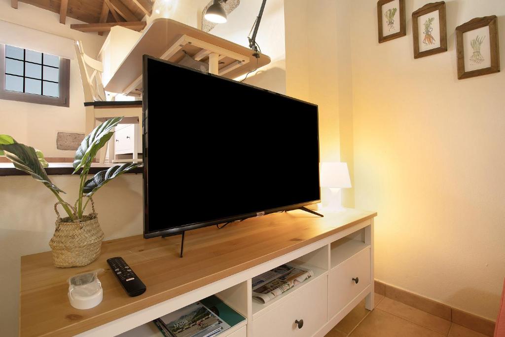 TV a/nebo společenská místnost v ubytování Las Tres Palmeras