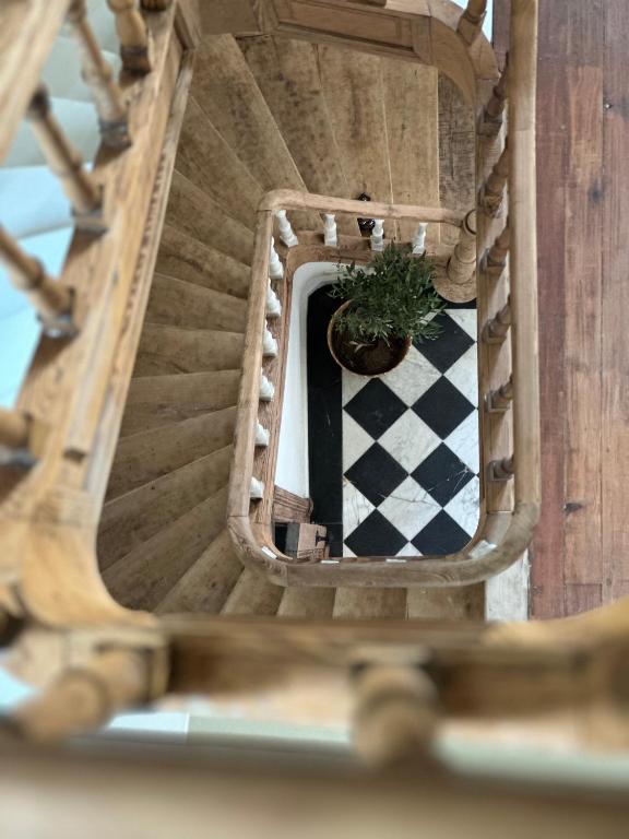 a spiral staircase with a potted plant on the floor at Maison Comtale in Rochefort