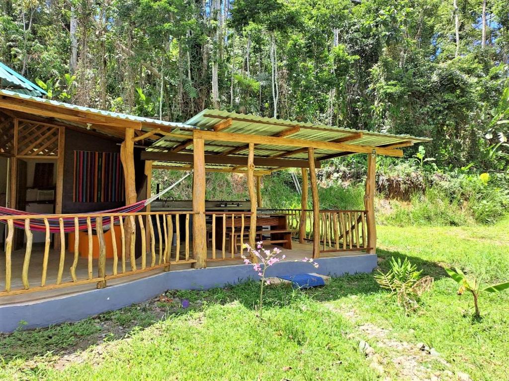 Zahrada ubytování Terra NaturaMa - off grid living in the jungle